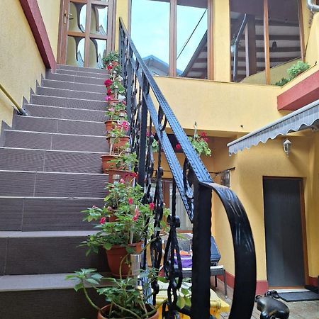 Vila Trandafir Constanta Exterior photo
