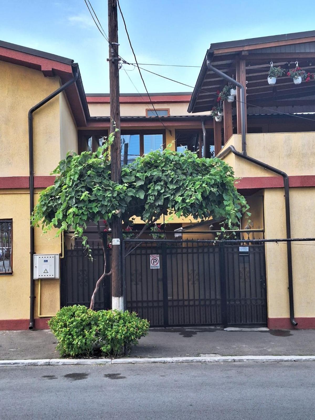 Vila Trandafir Constanta Exterior photo